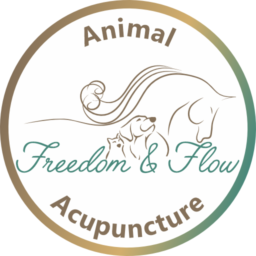 animal acupuncture for dogs, cats, horses central coast nsw